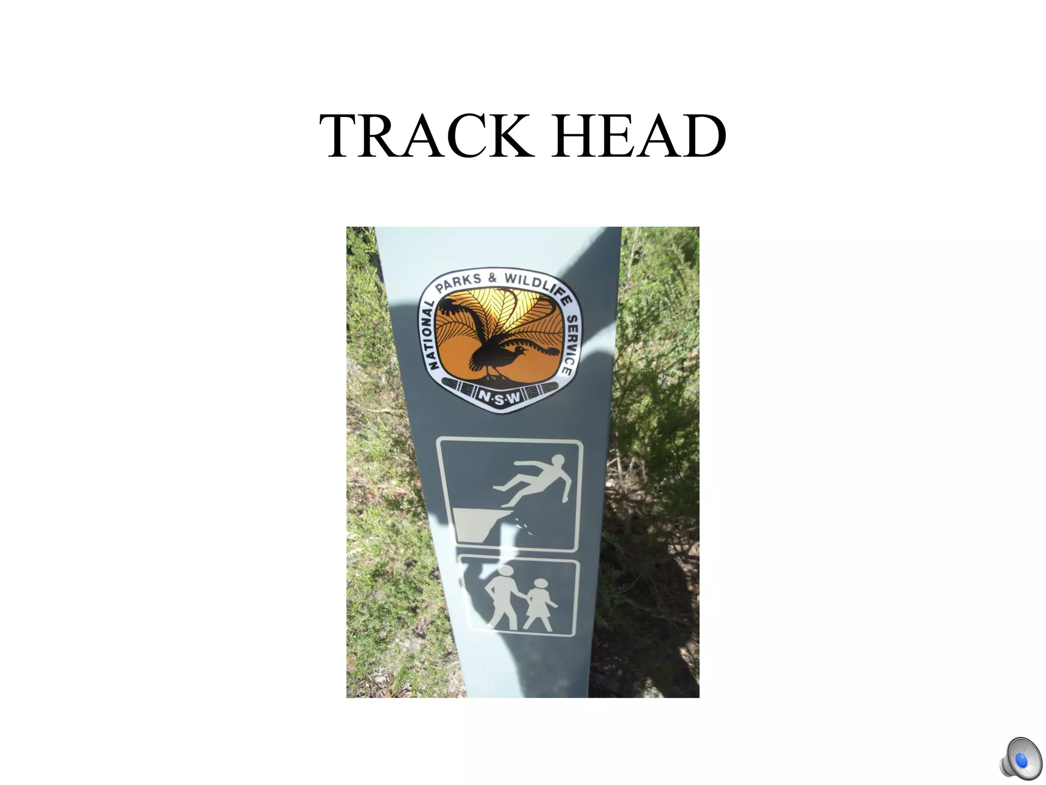 TRACK HEAD 