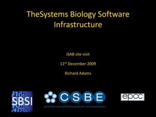 TheSystems Biology Software Infrastructure 