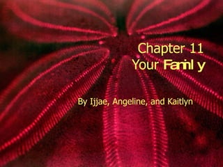 Chapter 11 Your  Family By Ijjae, Angeline, and Kaitlyn 