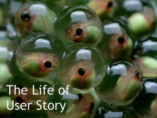 The Life of
User Story
 