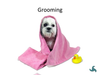 Grooming	
  
 