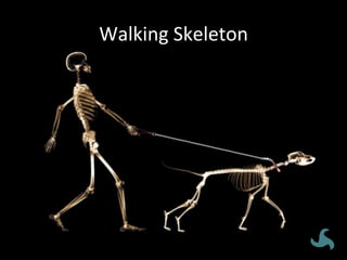 Walking	
  Skeleton	
  
 