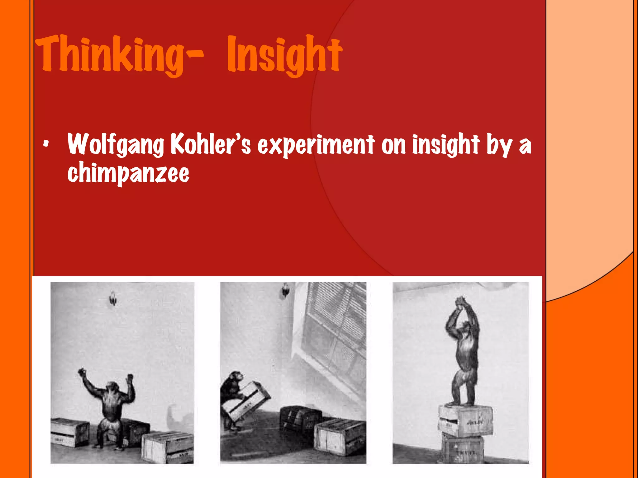 Thinking-  Insight Wolfgang Kohler’s experiment on insight by a chimpanzee 