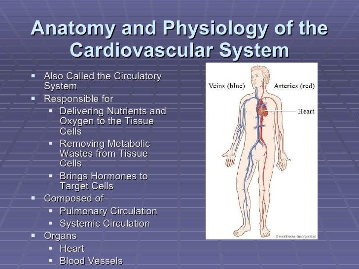Presentation #3 for Medical Terminology