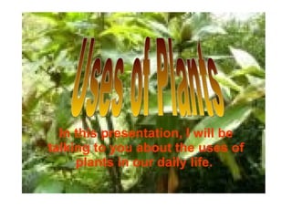 In this presentation, I will be talking to you about the uses of plants in our daily life.  Uses of Plants 