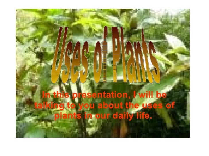 Uses Of A Plant