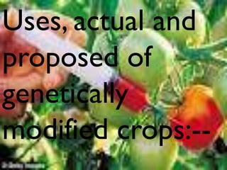 Uses, actual and
proposed of
genetically
modified crops:--

 