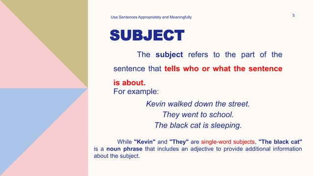 Use Sentences Appropriately and Meaningfully.pptx