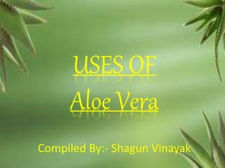 Aloe VeraUSES OF
Aloe Vera
Compiled By:- Shagun Vinayak
 