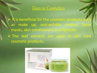 Uses of aloe vera | PPTX