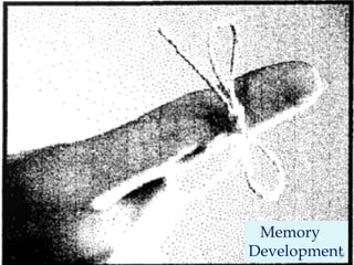 Memory enhancement   Memory Development