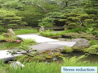  Stress reduction