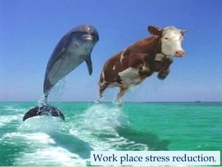 Work place stress reduction
