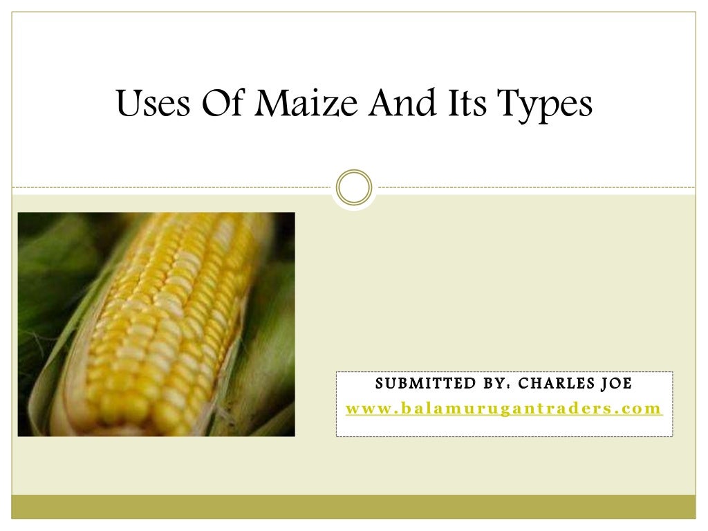 Uses of maize and its Functions