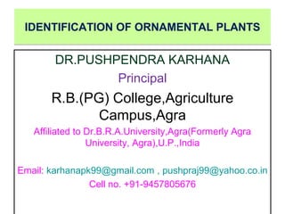 DR.PUSHPENDRA KARHANA
Principal
R.B.(PG) College,Agriculture
Campus,Agra
Affiliated to Dr.B.R.A.University,Agra(Formerly Agra
University, Agra),U.P.,India
Email: karhanapk99@gmail.com , pushpraj99@yahoo.co.in
Cell no. +91-9457805676
IDENTIFICATION OF ORNAMENTAL PLANTSIDENTIFICATION OF ORNAMENTAL PLANTS
 