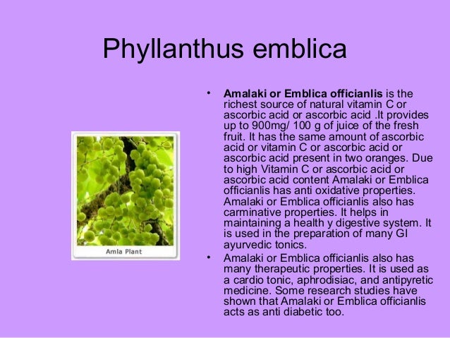 Uses Of Medicinal Plants