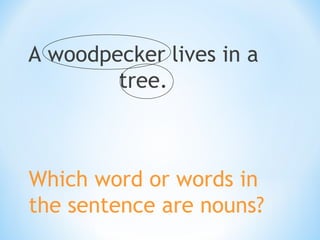 A woodpecker lives in a
tree.

Which word or words in
the sentence are nouns?

 