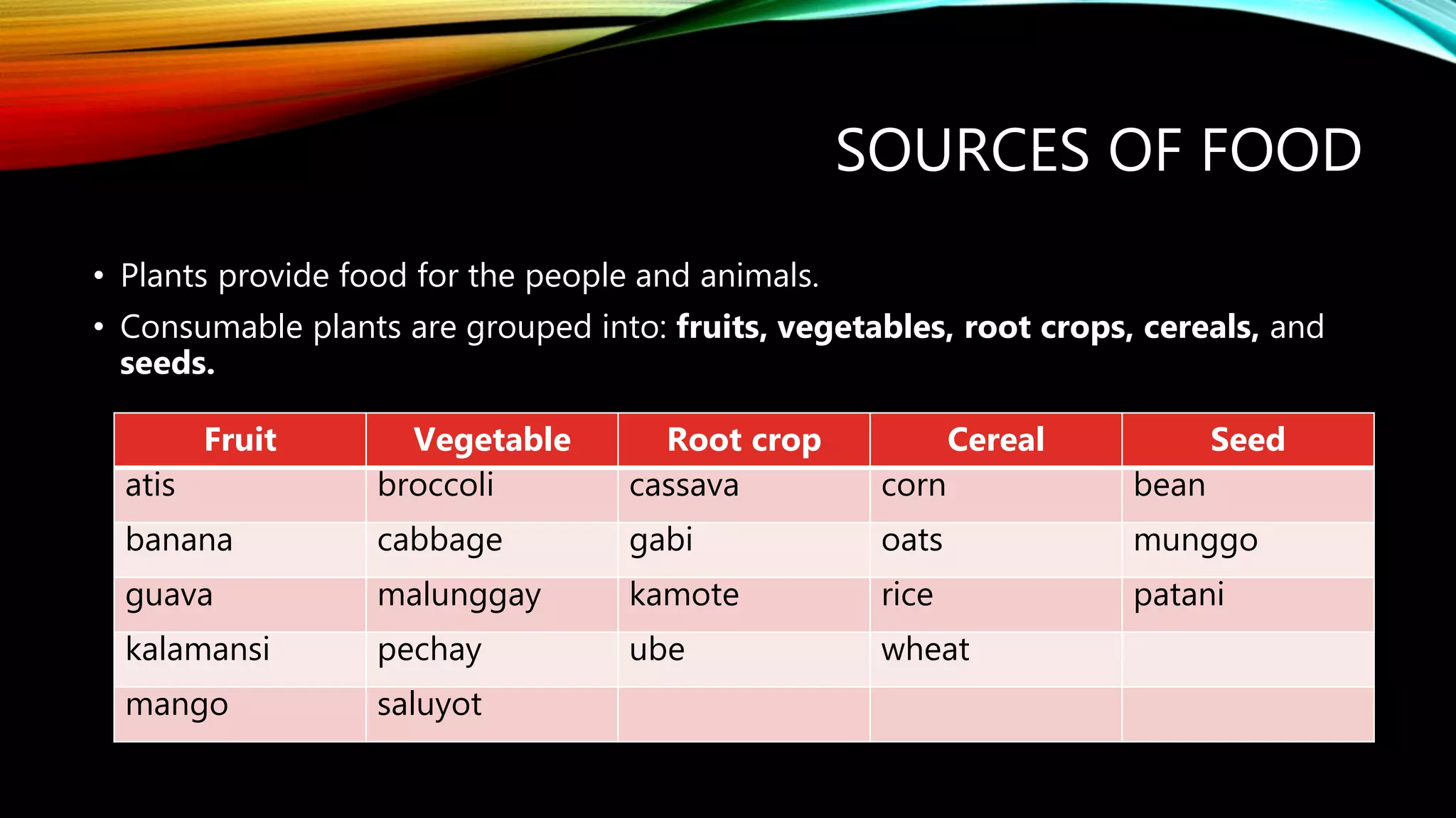 Uses Of Plants PPT uses-of-plants-ppt