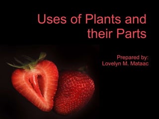 Uses of Plants and their Parts ,[object Object],[object Object]