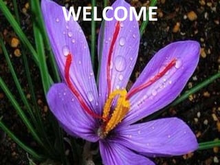 WELCOME
 