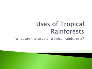 What are the uses of tropical rainforests?
 