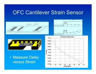 OFC Cantilever Strain Sensor




• Measure Delay
  versus Strain
                                66
 