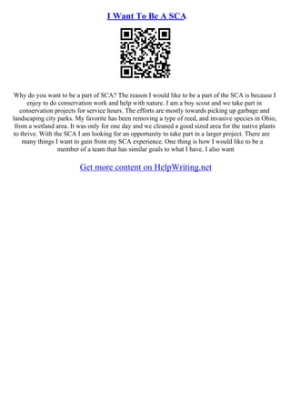 Usf Application Essay | PDF