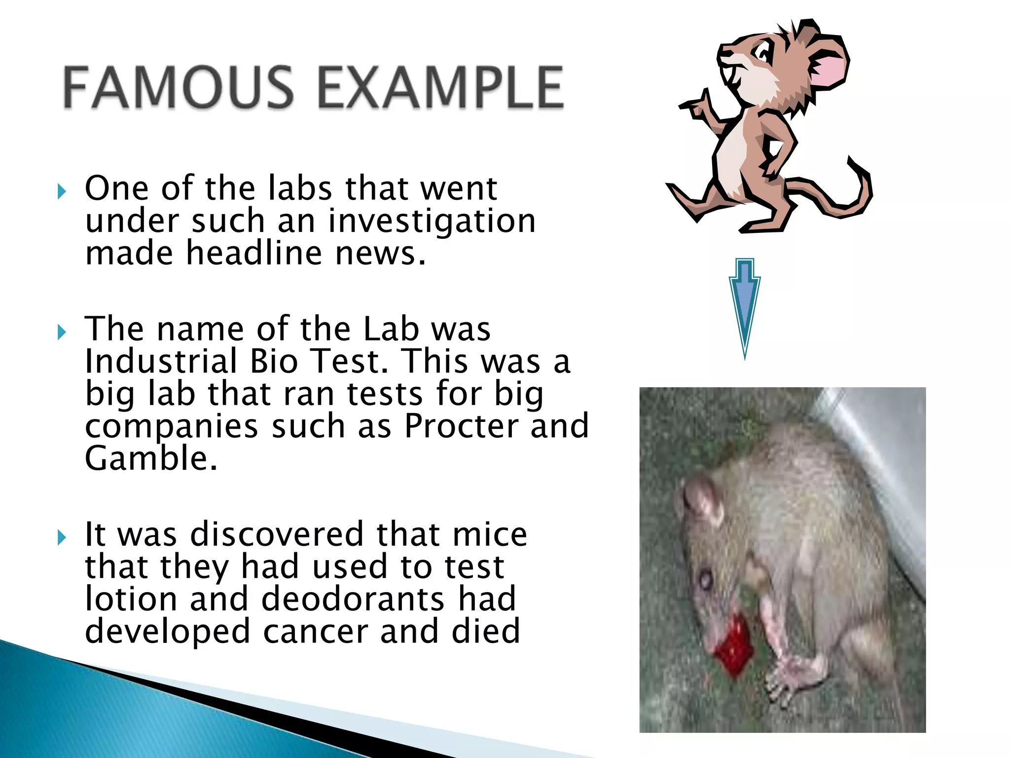  One of the labs that went
under such an investigation
made headline news.
 The name of the Lab was
Industrial Bio Test. This was a
big lab that ran tests for big
companies such as Procter and
Gamble.
 It was discovered that mice
that they had used to test
lotion and deodorants had
developed cancer and died
 