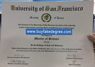 USF diploma.pdf