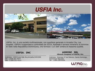 USFIA，INC 
Indirizzo：135 E.Live Oak Ave,Arcadia,CA91006 
Tel：1.626.321 4377 
Fax：1.626.321 4333
AMMINE，SRL
-Branch Company of USFIA, Inc. 
Indirizzo：Expreso 27 de Febrero, Santo Domingo,
Dominican Republic 
Tel：1.809.258.9556
USFIA Inc.
USFIA, Inc. è una società multinazionale, con quartiere generale in Arcadia City, Los
Angeles. USFIA è supportata e controllata da UCCA. Possiede il terreno minerario di Ammine
El Valle nella Repubblica Dominicana, che fornisce i 2/3 dell' ambra di massima qualità.
 