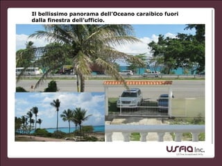 Il bellissimo panorama dell’Oceano caraibico fuori
dalla finestra dell’ufficio.
 