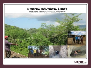 MINIERA MONTUOSA AMBER
Produzione Amber più di 50,000,000 grammi
 