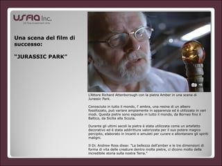 L’Attore Richard Attenborough con la pietra Amber in una scena di
Jurassic Park.
!
Conosciuto in tutto il mondo, l' ambra, una resina di un albero
fossilizzato, può variare ampiamente in apparenza ed è utilizzato in vari
modi. Questa pietre sono esposte in tutto il mondo, da Borneo fino il
Baltico, da Sicilia alla Scozia.
!
Durante gli ultimi secoli la pietra è stata utilizzata come un artefatto
decorativo ed è stata addirittura valorizzata per il suo potere magico
percipito, elaborato in incanti e amuleti per curare e allontanare gli spiriti
maligni.
!
Il Dr. Andrew Ross disse: "La bellezza dell'amber e le tre dimensioni di
forma di vita delle creature dentro molte pietre, ci dicono molto della
incredibile storia sulla nostra Terra."
Una scena del film di
successo:
!
“JURASSIC PARK”
 