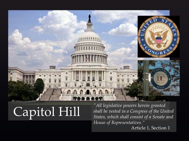 US Form of Government