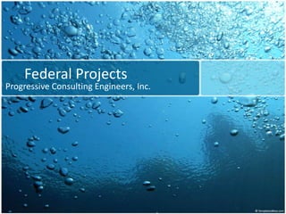 Federal Projects Progressive Consulting Engineers, Inc. 