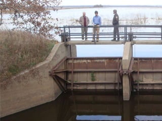 Animal BurrowingAgassiz NWRWater Management Canal/Road ProjectPCE responded