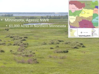 Firm Background Cont…Transportation Engineering