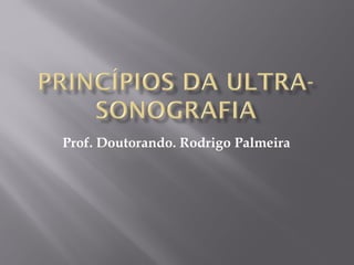 Prof. Doutorando. Rodrigo Palmeira
 