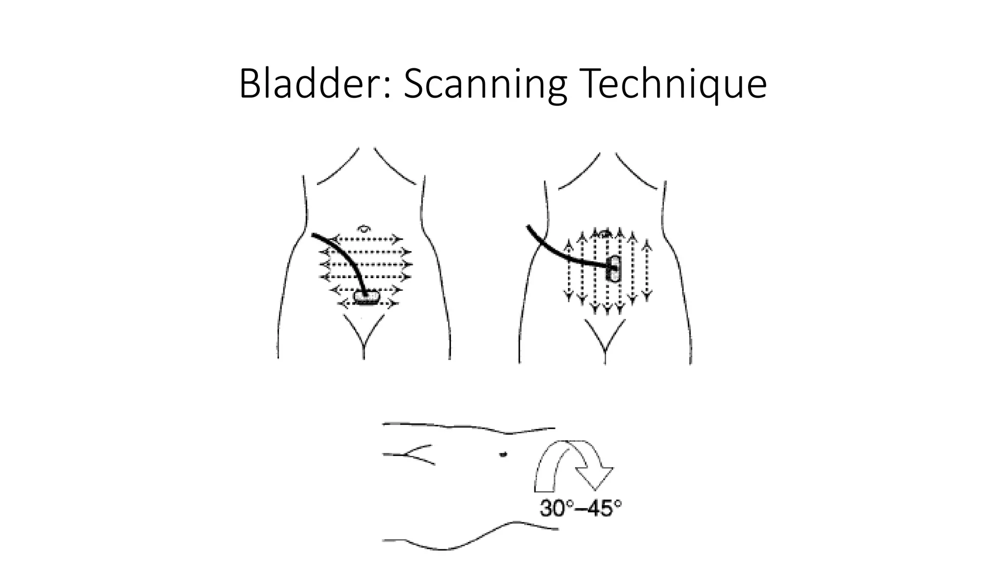 Ultrasound Normal Anatomy of Major Organs | PPTX
