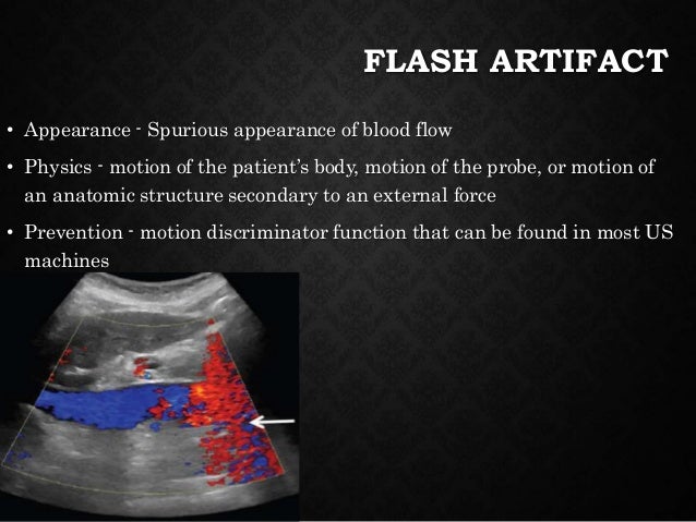 veins function