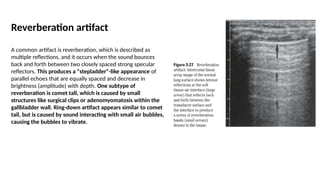 USG Artifacts.pptx..This presentation provides an overview of ...