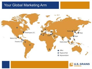 Your Global Marketing Arm  