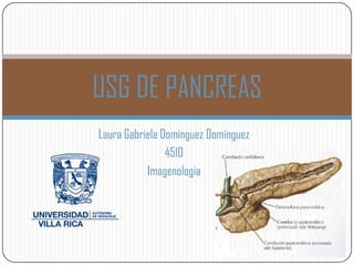 USG DE PANCREAS
Laura Gabriela Domínguez Domínguez
                4510
           Imagenologia
 