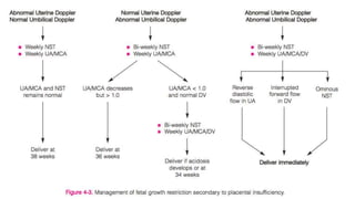 Doppler Ultrasound of Umbilical Artery | PPTX