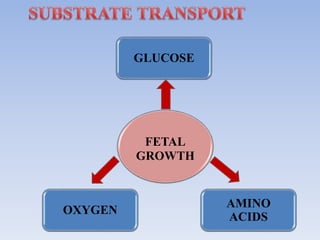 GLUCOSE
AMINO
ACIDS
OXYGEN
FETAL
GROWTH
 