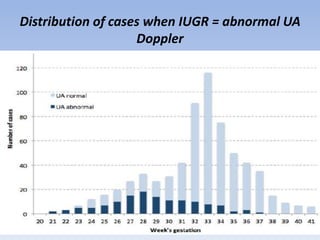 Distribution of cases when IUGR = abnormal UA
Doppler
 