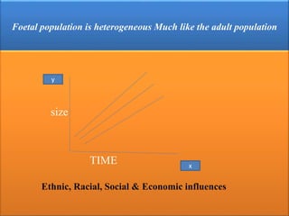 Foetal population is heterogeneous Much like the adult population
size
TIME
Ethnic, Racial, Social & Economic influences
y
x
 