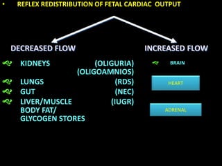 • REFLEX REDISTRIBUTION OF FETAL CARDIAC OUTPUT
 KIDNEYS (OLIGURIA)
(OLIGOAMNIOS)
 LUNGS (RDS)
 GUT (NEC)
 LIVER/MUSCLE (IUGR)
BODY FAT/
GLYCOGEN STORES
INCREASED FLOWDECREASED FLOW
 BRAIN
HEART
ADRENAL
 