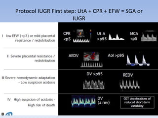 Protocol IUGR First step: UtA + CPR + EFW = SGA or
IUGR
 