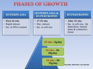 HYPERPLASIA
• First 16 wks
• Rapid mitosis
• Inc. in DNA content
HYPERPLASIA &
HYPERTROPHY
• 17-32 wks
• Dec. mitosis
• Inc. in cell size
HYPERTROPHY
• After 32 wks
• Inc. in cell size, fat
deposition, muscle
mass & connective
tissue
WILLIAMS OBSTETRICS -24rd EDITION
34 wks - 30-
35g/day
24 wks - 10-
20g/day
15 wks - 5g/day
 